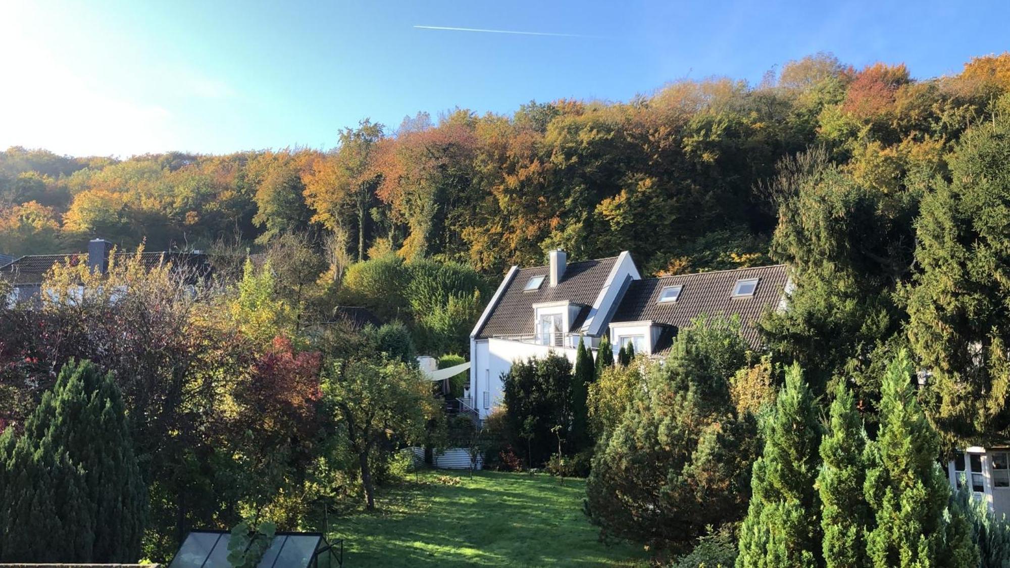 Ferienwohnung Am Schoelerberg Osnabrueck Ngoại thất bức ảnh